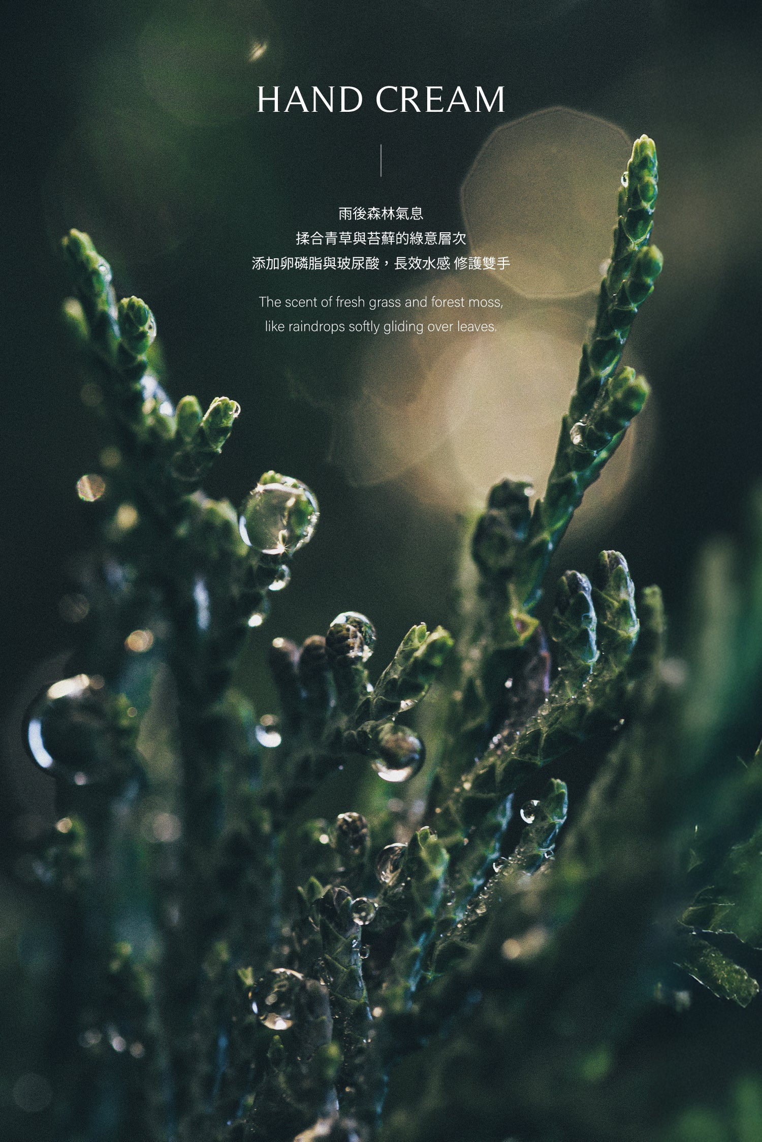 香氛瞬效護手霜 HAND CREAM|30ML