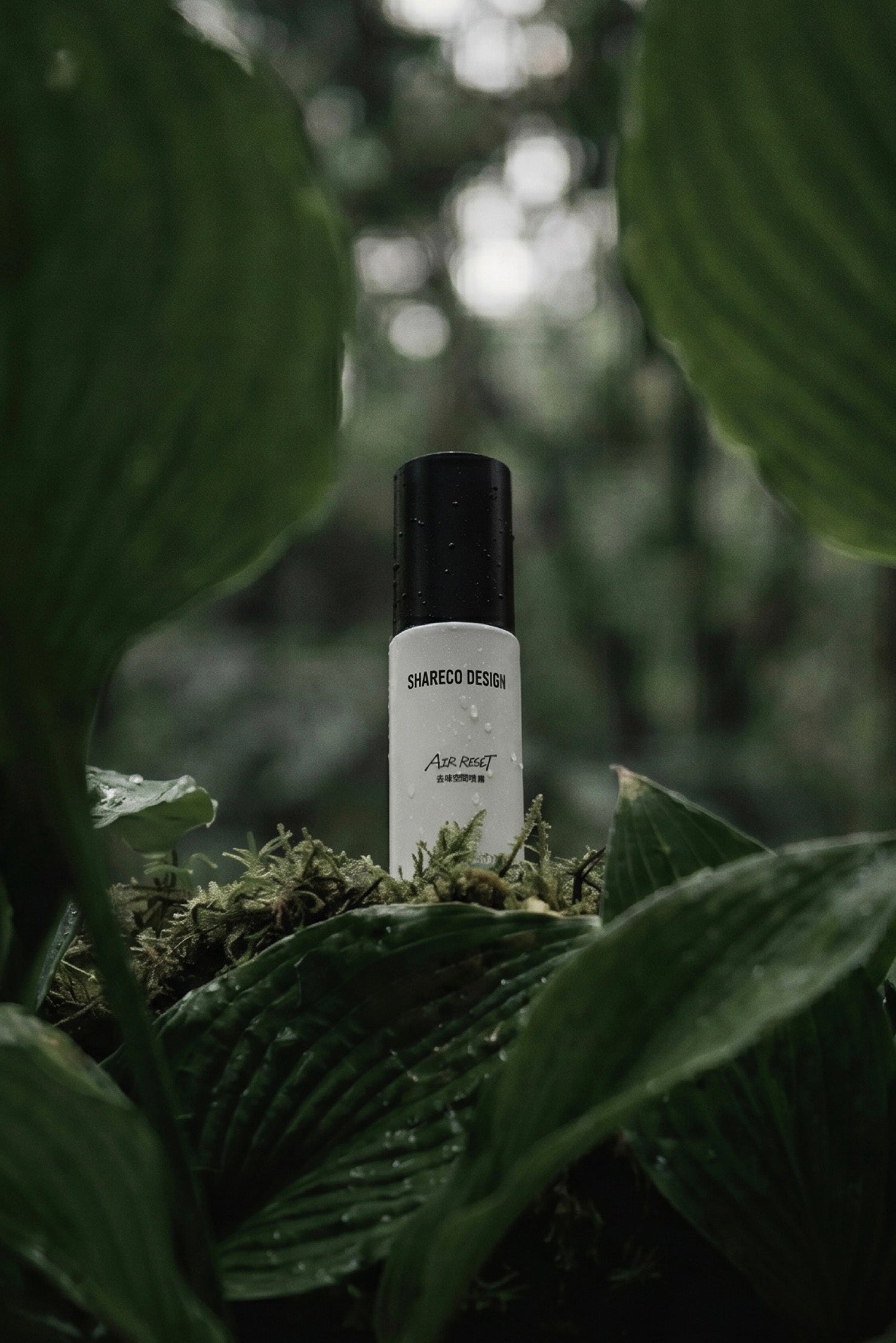 去味空間噴霧 AIR RESET |50ML