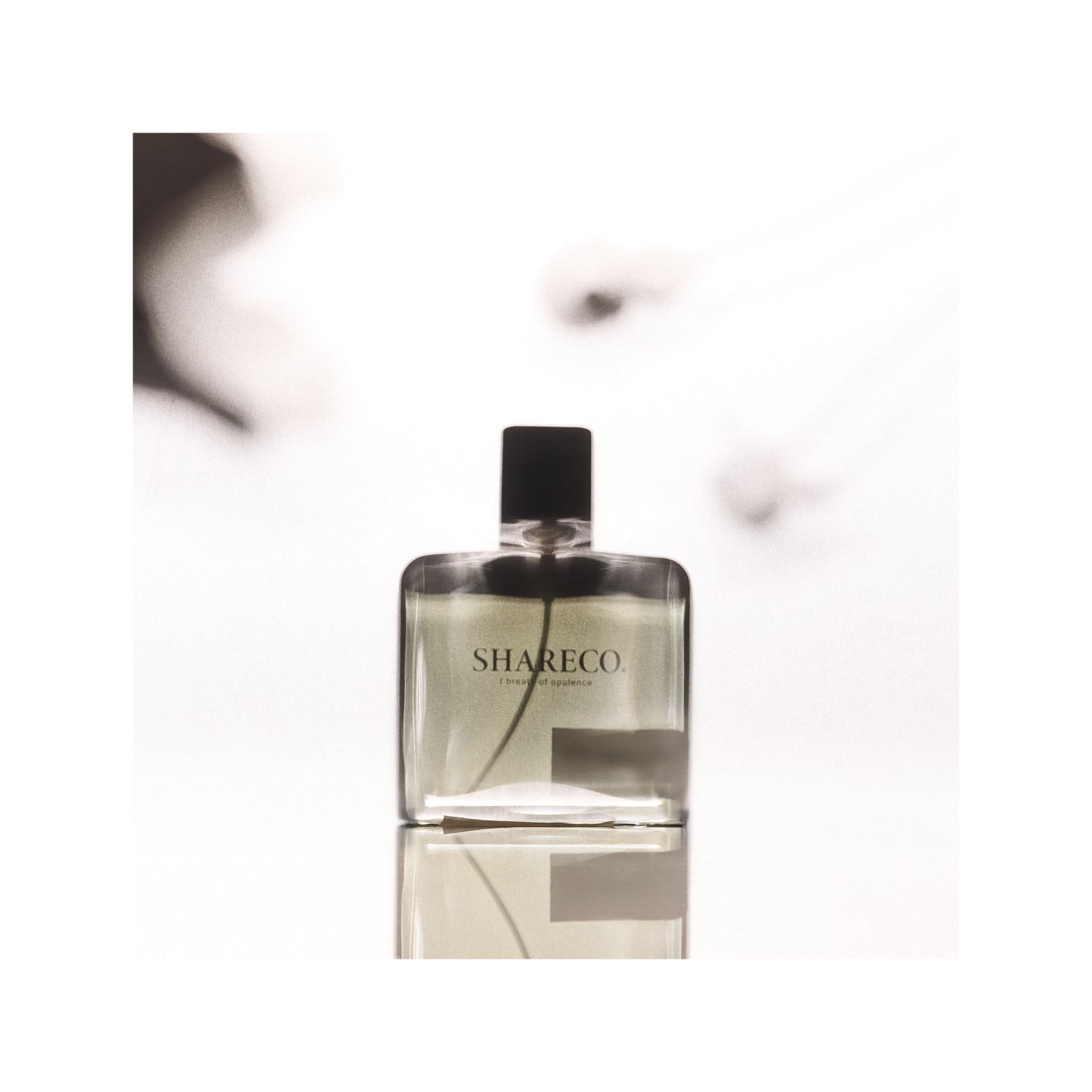 經典香氛perfumes | SHARECO DESIGN