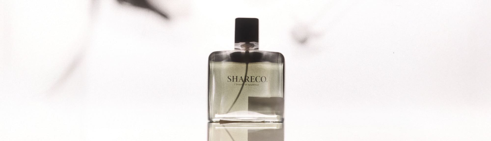 shopify___banner_02.jpg?v=
